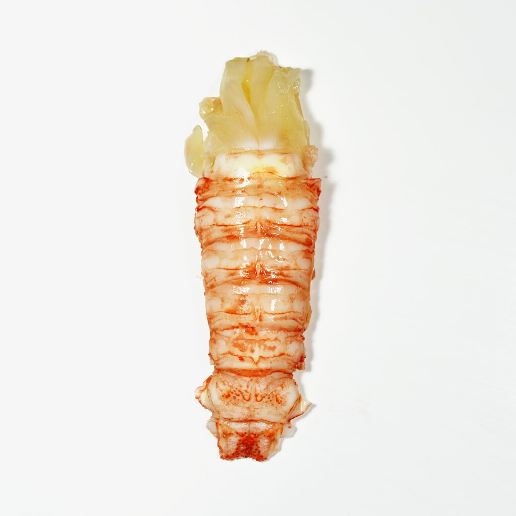 LangousteRose_square