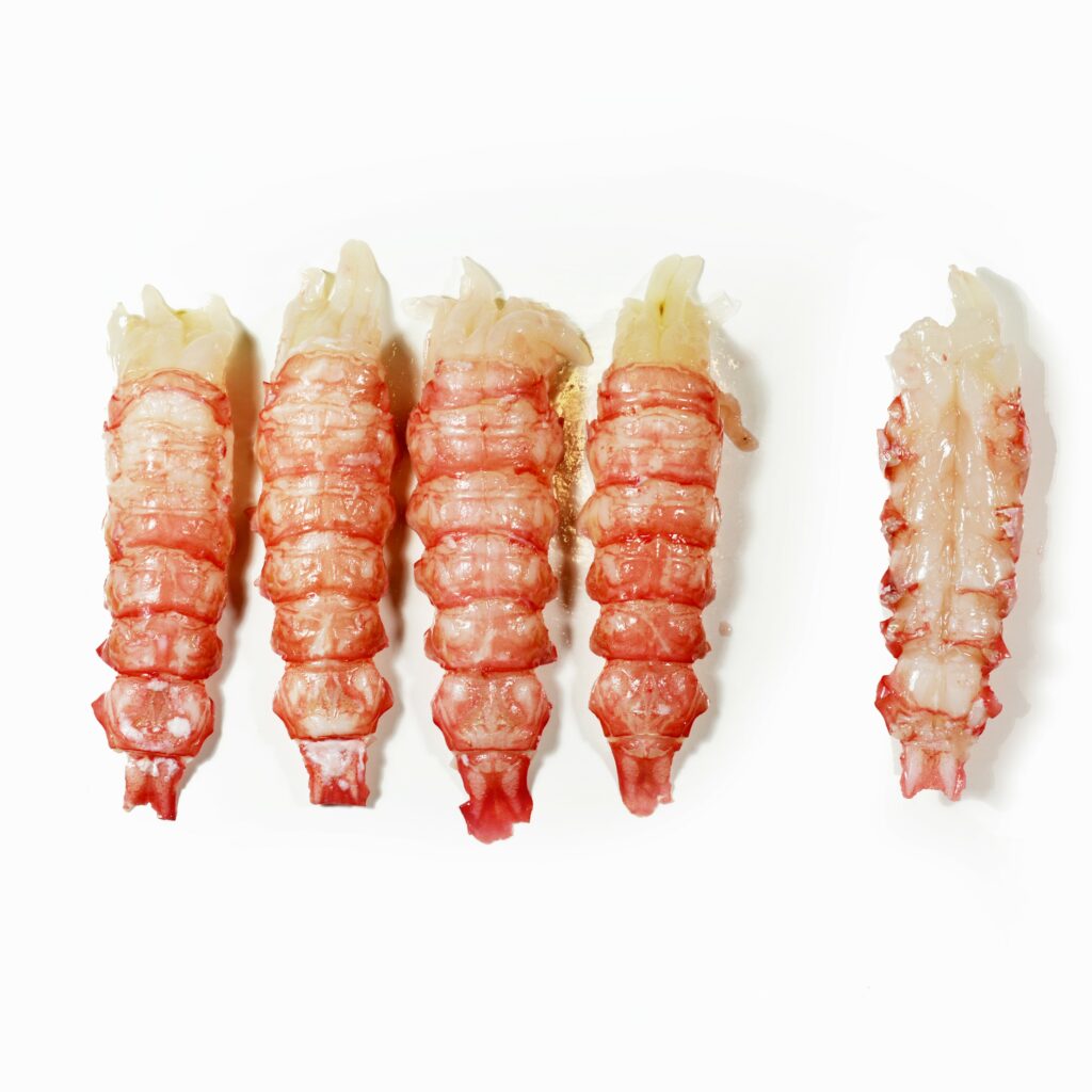 LangoustineEcosse_square